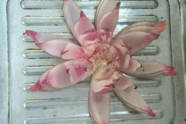 莲花的做法图解10