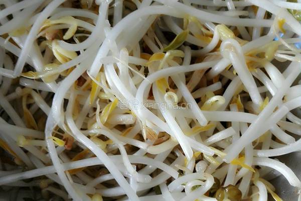 凉拌菠菜豆芽的做法图解1