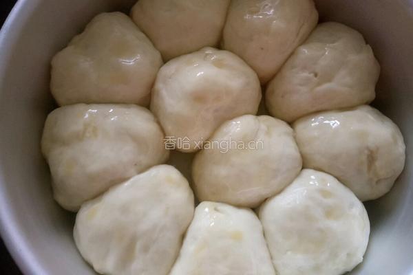 奶香包的做法图解7