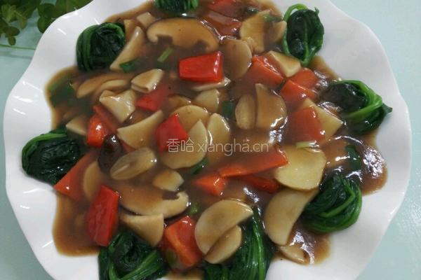 蚝油鲍波的做法图解5