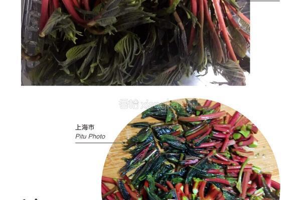 土鸡蛋炒香椿的做法图解1