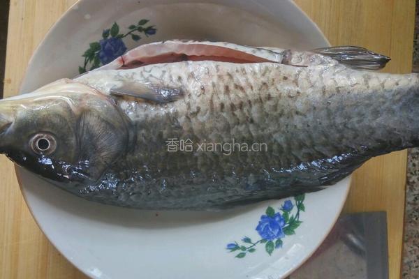 鲫鱼汤的做法图解1