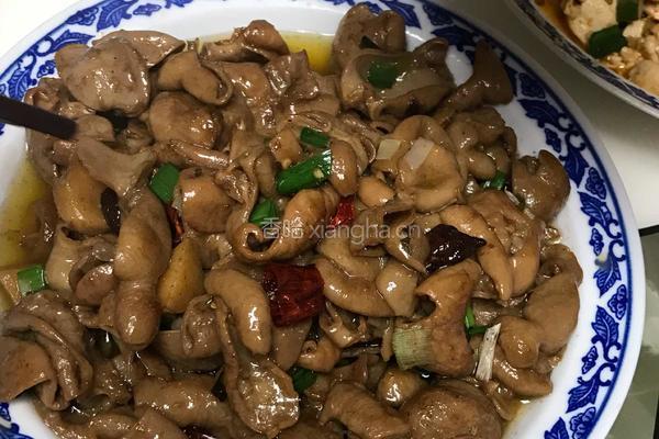 红烧肥肠的做法图解6