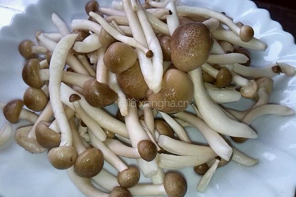蟹味菇炒小油菜的做法图解1