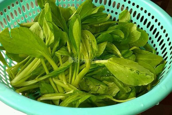蟹味菇炒小油菜的做法图解2