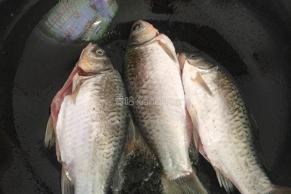 鲫鱼炖豆腐的做法图解4