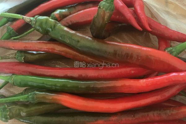 下饭菜——呛口小辣椒的做法图解1