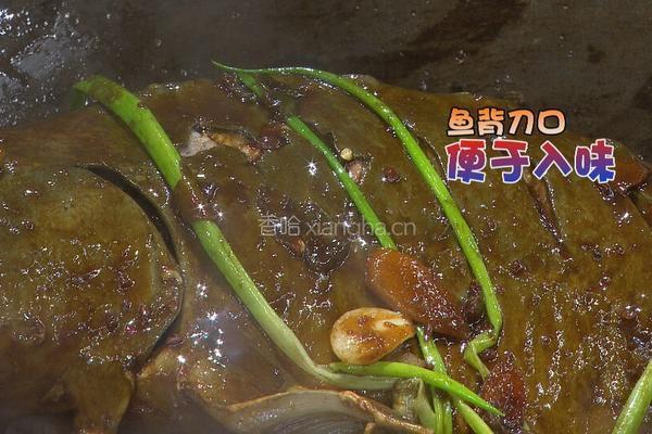 CCTV7食尚大转盘 铁锅炖大鱼的做法图解8