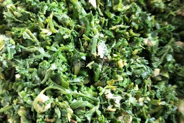 荠菜胡萝卜肉水饺的做法图解3