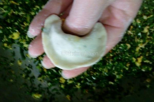 荠菜饺子的做法图解6