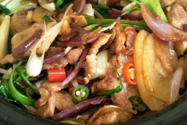 干锅土豆回锅肉的做法图解13