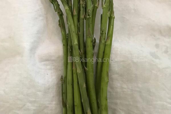 芦笋大虾的做法图解2