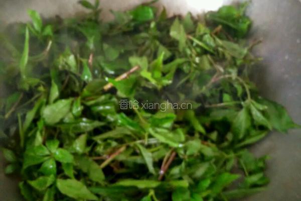 酱油炒苦刺尖的做法图解3