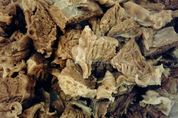 红烧牛腩萝卜的做法图解4