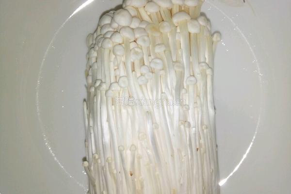 蒜蓉清蒸金针菇的做法图解1