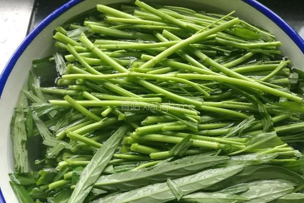 茄汁空心菜的做法图解2