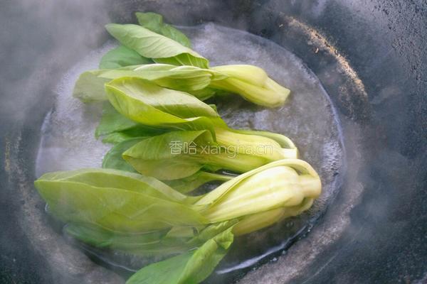 台湾卤肉饭的做法图解12