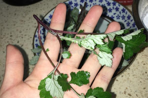 艾草糯米饼的做法图解2