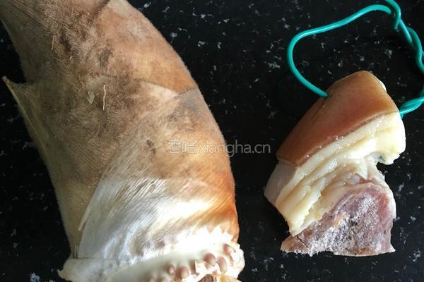 毛笋炖咸肉的做法图解1