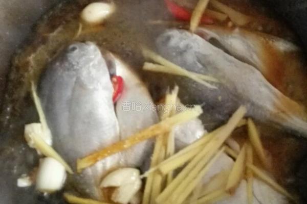 焖白鲳鱼的做法图解6
