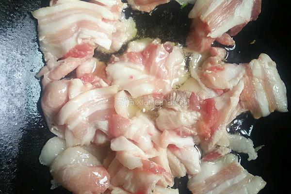 盐煎肉的做法图解4