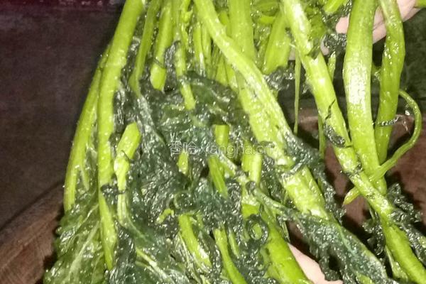 腌制咸菜的做法图解5
