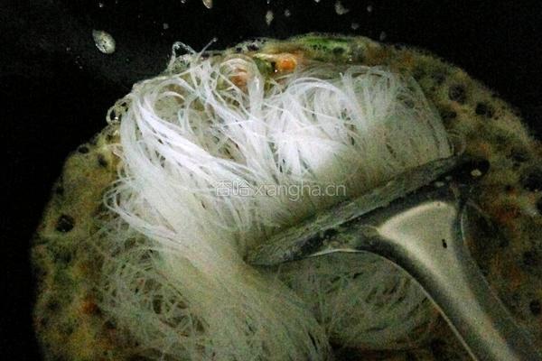 蛋炒粉丝的做法图解8