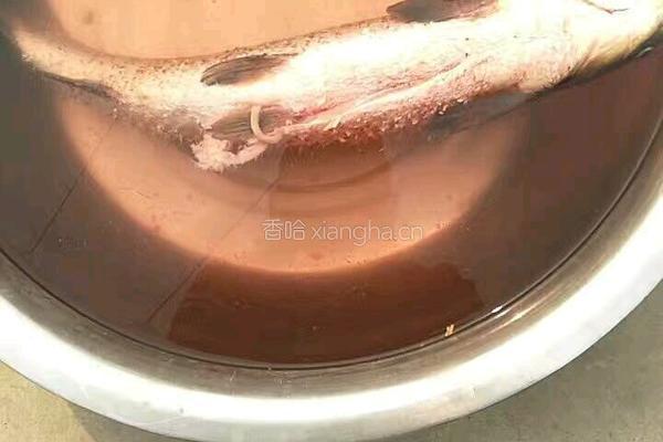 家常水煮鱼的做法图解1