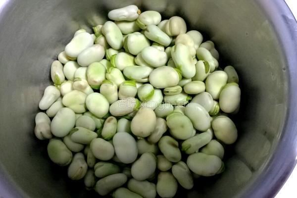 煮五香蚕豆的做法图解1
