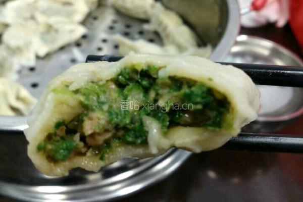 猪肉面条菜馅儿饺子的做法图解6