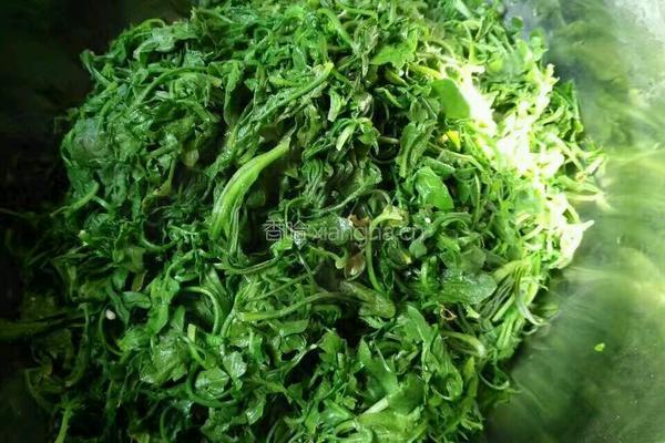 野菜大肉饺子的做法图解1