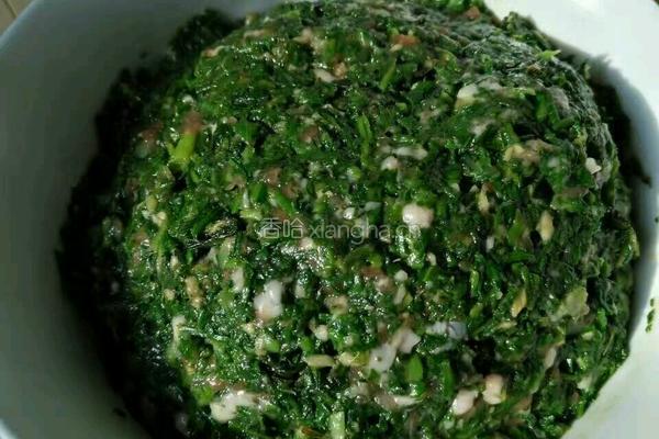 野菜大肉饺子的做法图解2