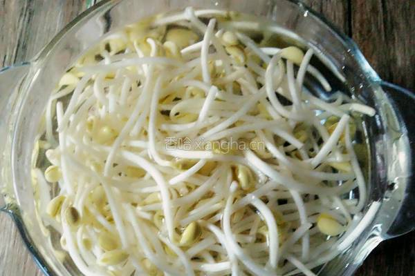 豆芽烩豆腐的做法图解1