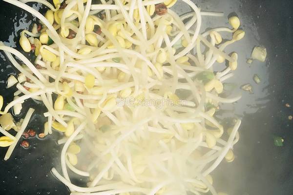 豆芽烩豆腐的做法图解8