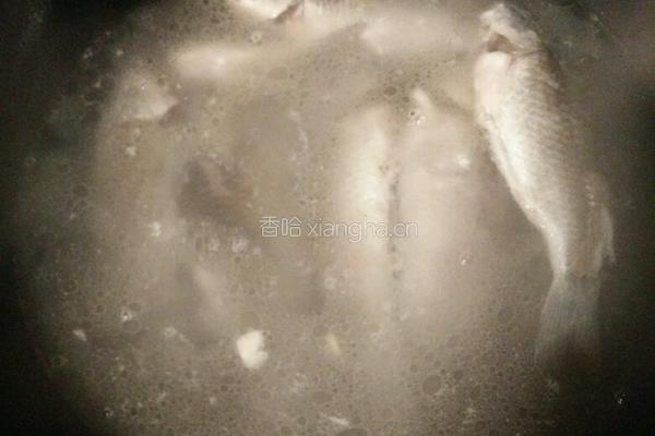 鲫鱼汤的做法图解4