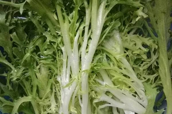 凉拌苦菊的做法图解1
