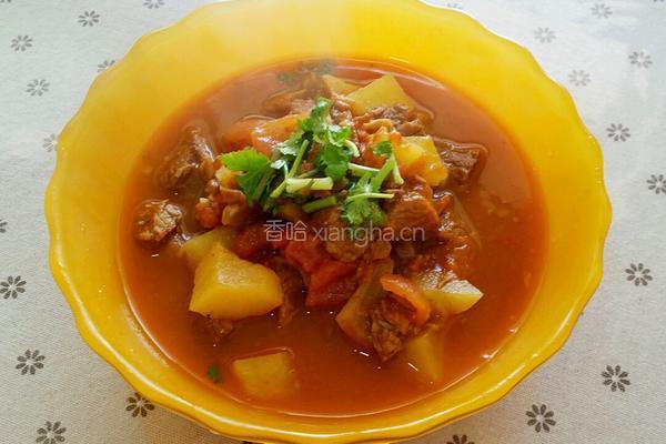 西红柿牛腩炖土豆的做法图解17