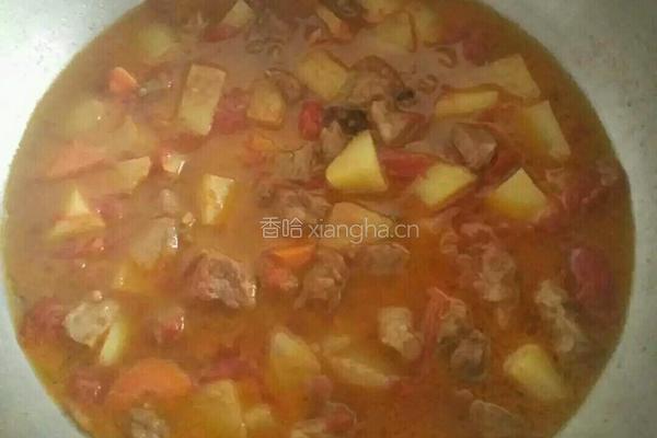 西红柿牛腩炖土豆的做法图解15