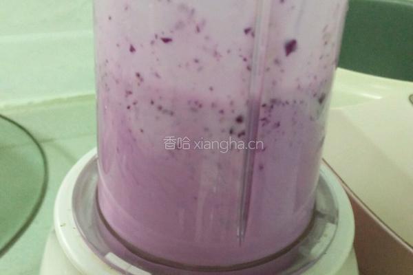 紫甘蓝奶昔的做法图解6