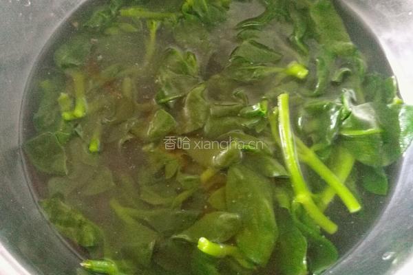 凉拌穿心莲的做法图解4