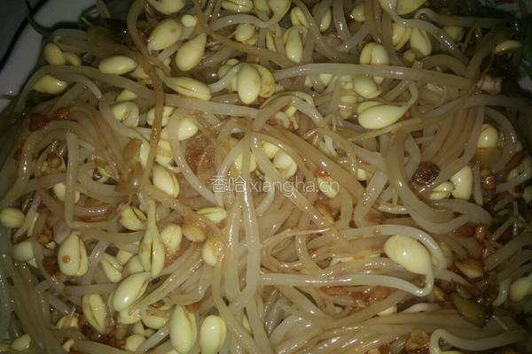 凉拌黄豆芽
