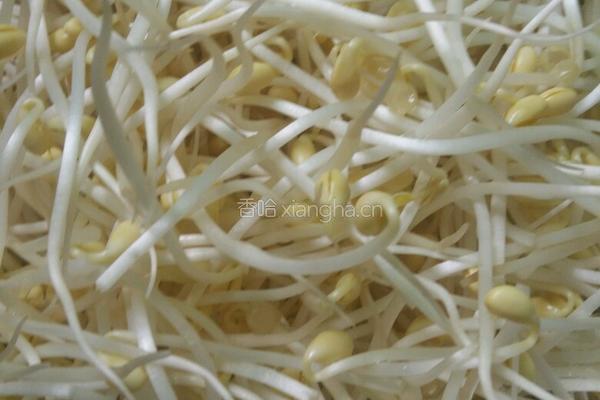 凉拌黄豆芽的做法图解1