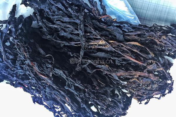 自制梅干菜的做法图解6