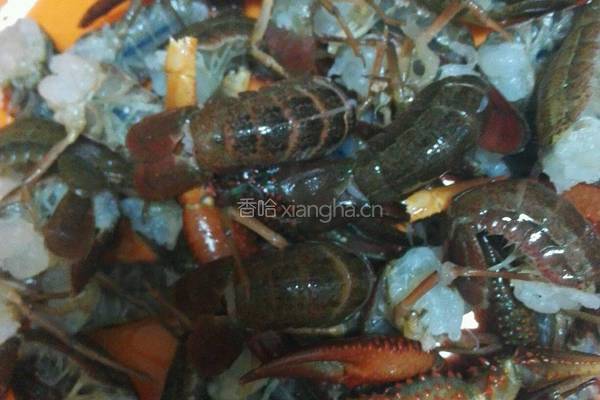 湘味麻辣小龙虾的做法图解1