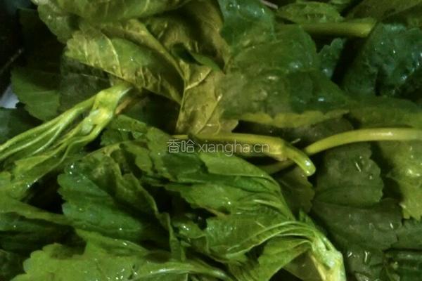 冬寒菜肉丸汤的做法图解1