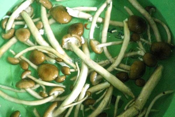 鲜茶树菇炒肉的做法图解1