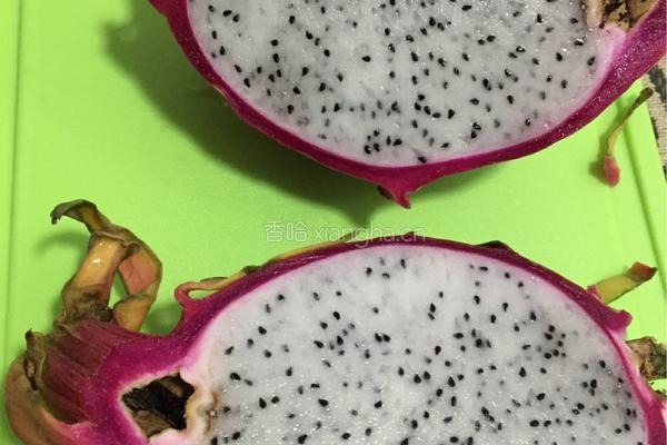 芒果果冻的做法图解2