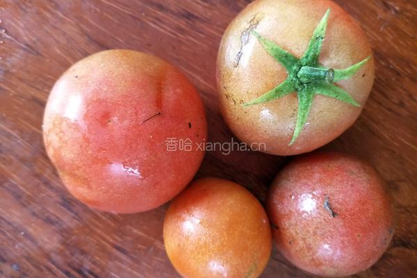 凉拌蕃茄的做法图解1