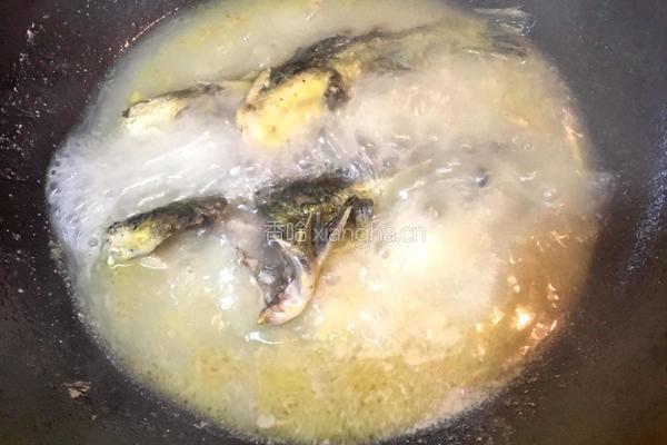 黄骨鱼豆腐汤的做法图解6