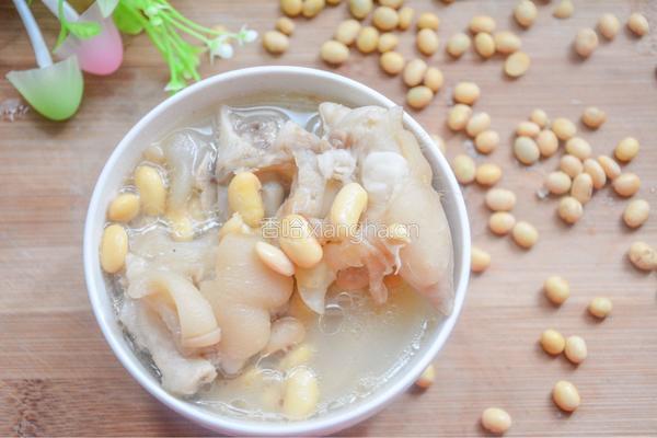 黄豆猪蹄汤